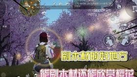 黎明觉醒大爆料最新消息,揭秘游戏背后惊人真相与未来走向